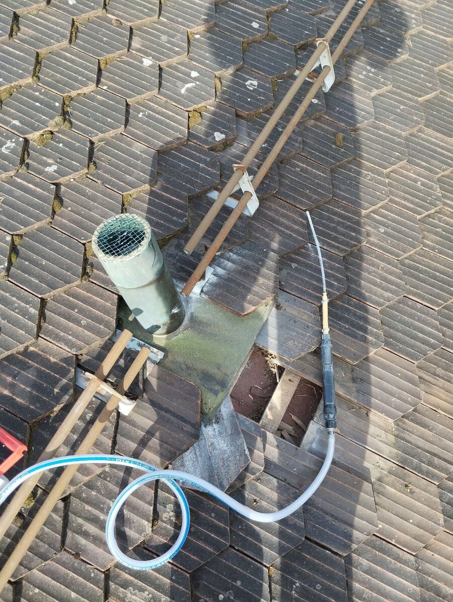 Relocate bees & remove bee nest