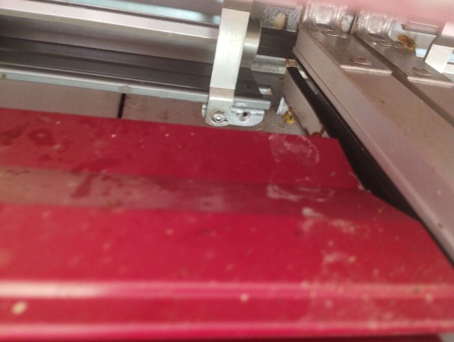 Relocate bees & remove bee nest