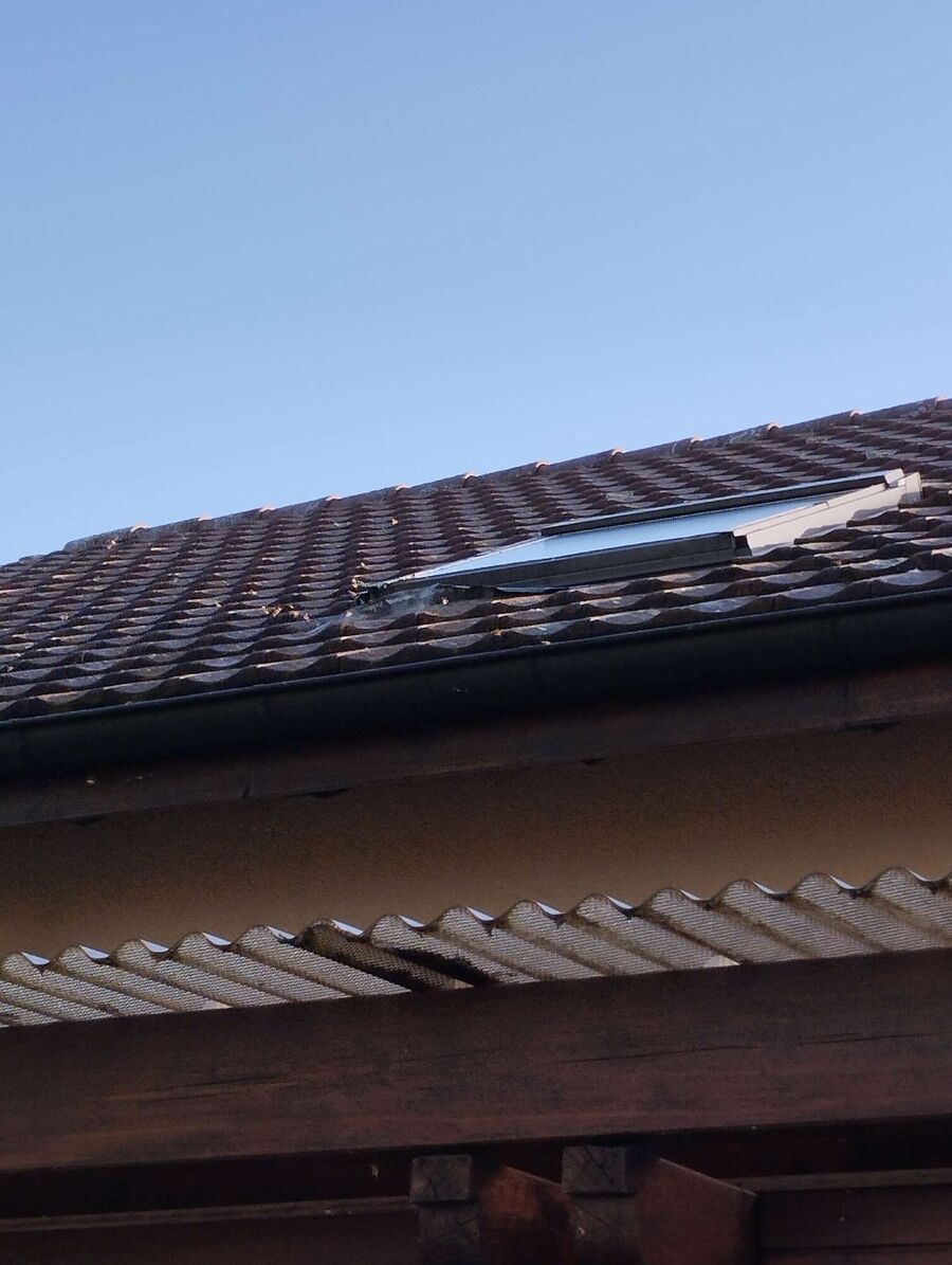 Bee nest at the house remove