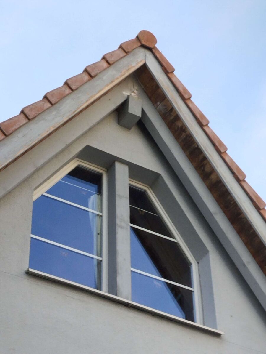 Bee nest at the house remove