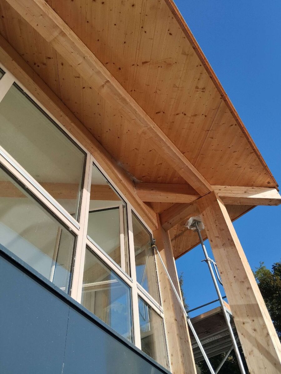 Relocate bees & remove bee nest