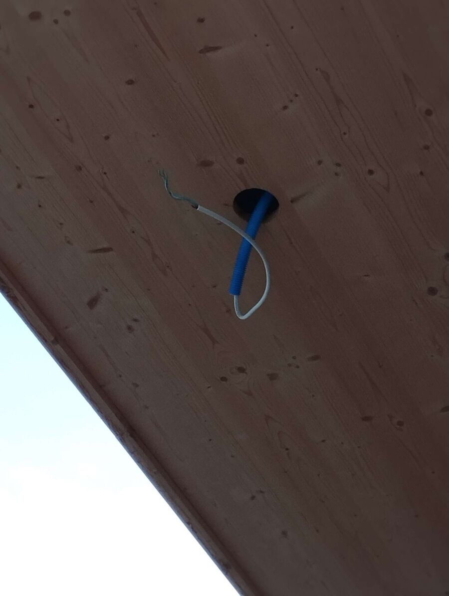 Bee nest at the house remove