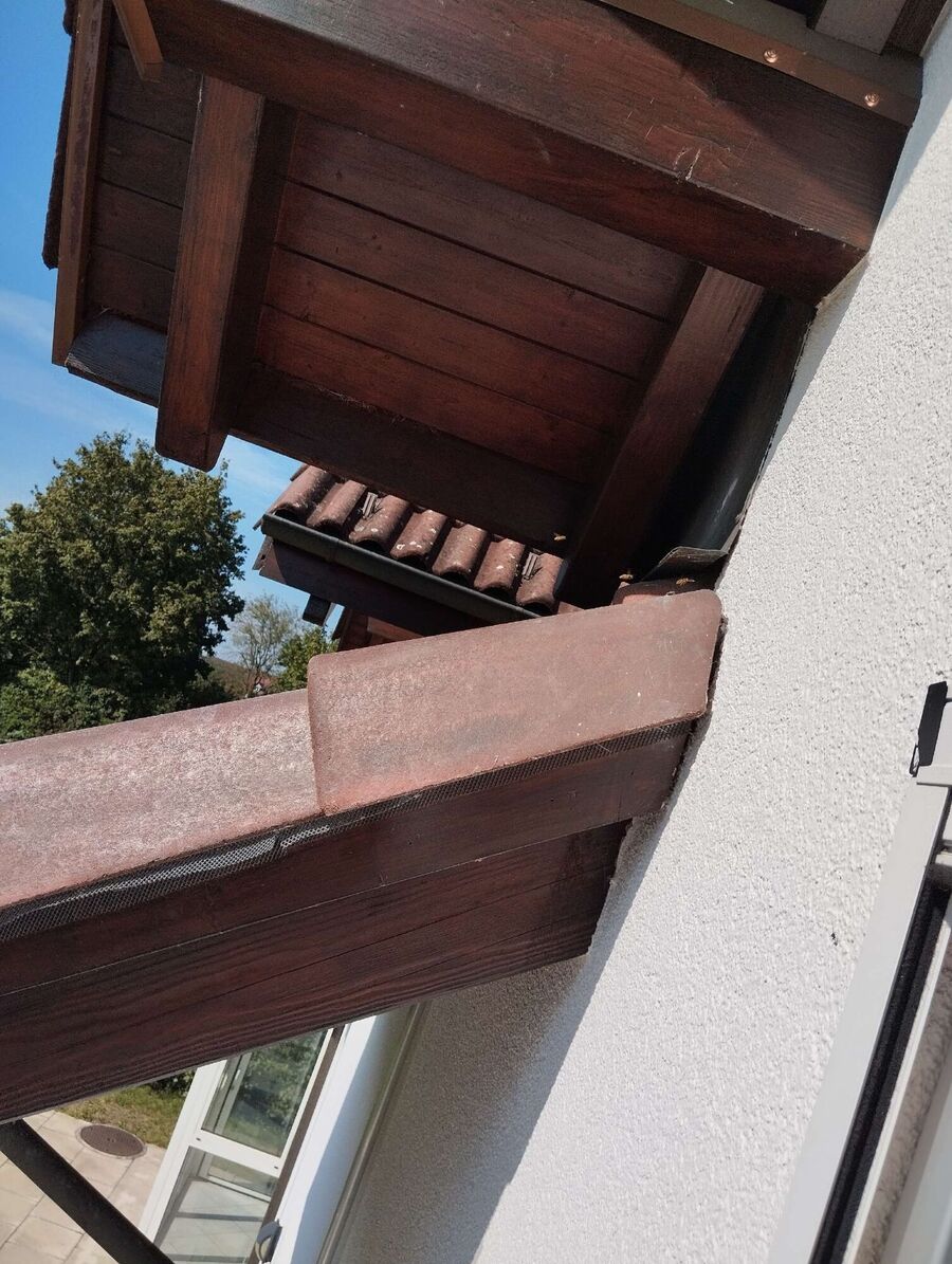 Bee nest at the house remove