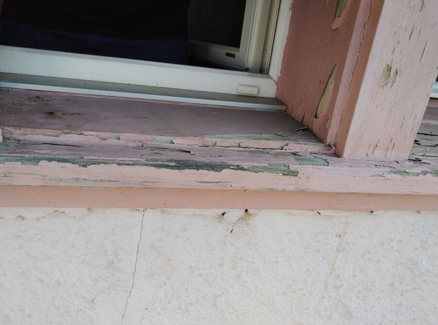 Relocate bees & remove bee nest