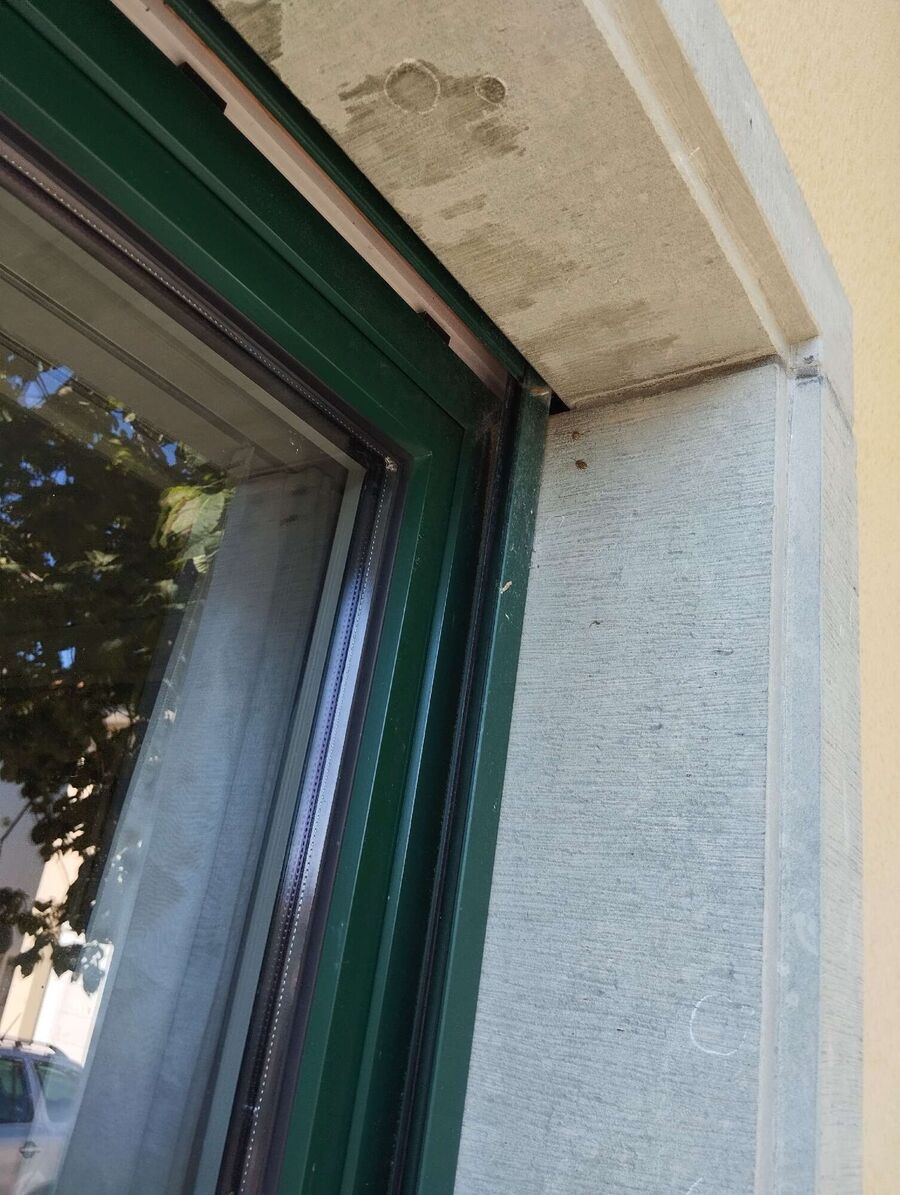 Bee nest at the house remove