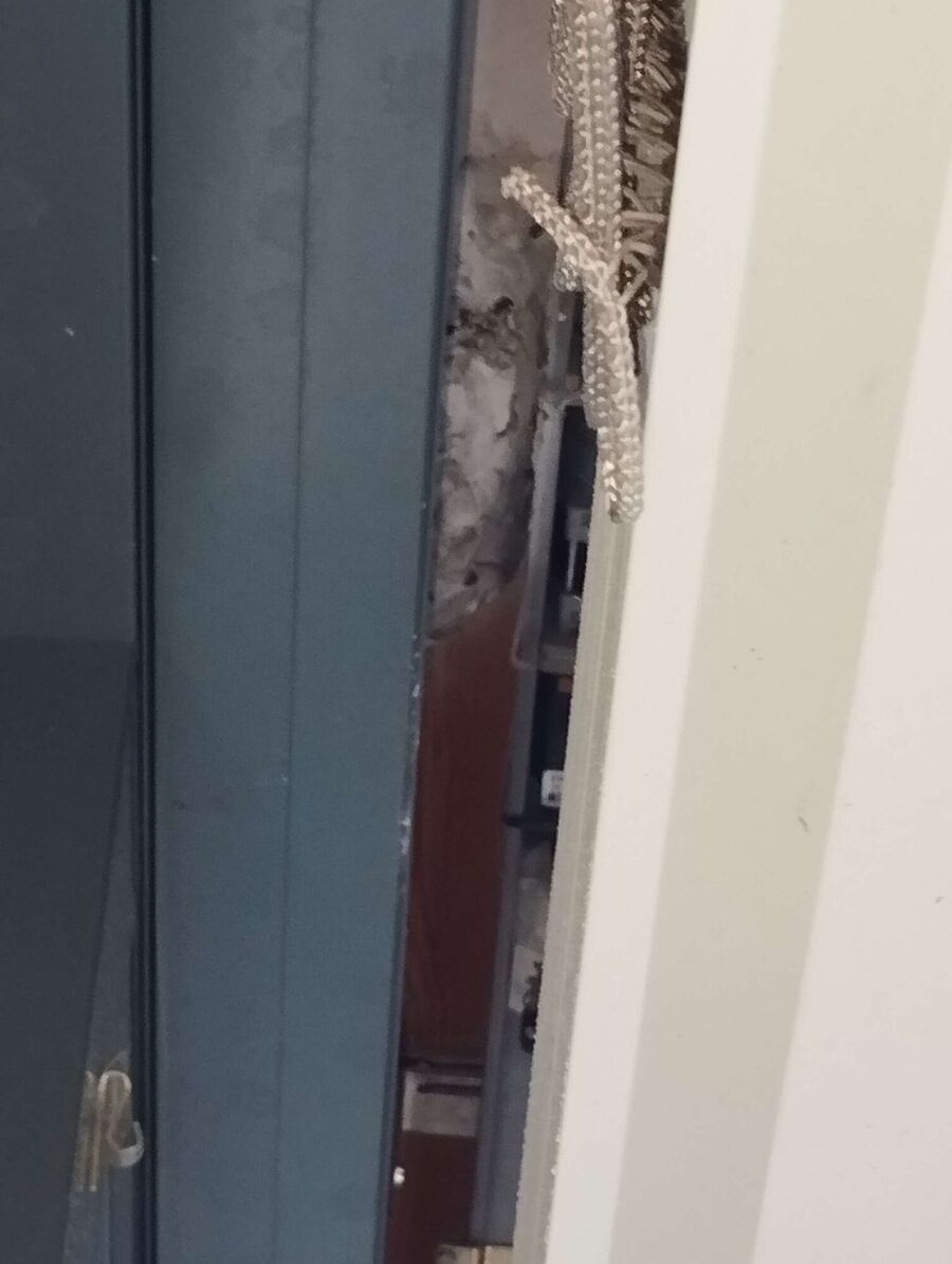 Bee nest at the house remove