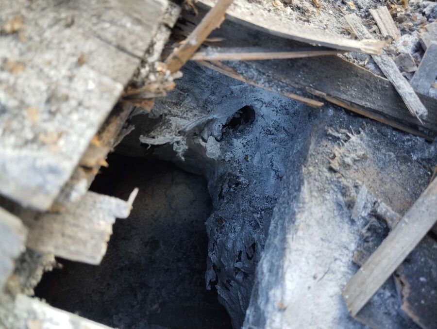 Relocate bees & remove bee nest