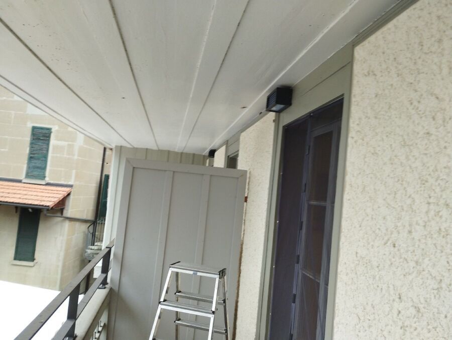 Bee nest at the house remove