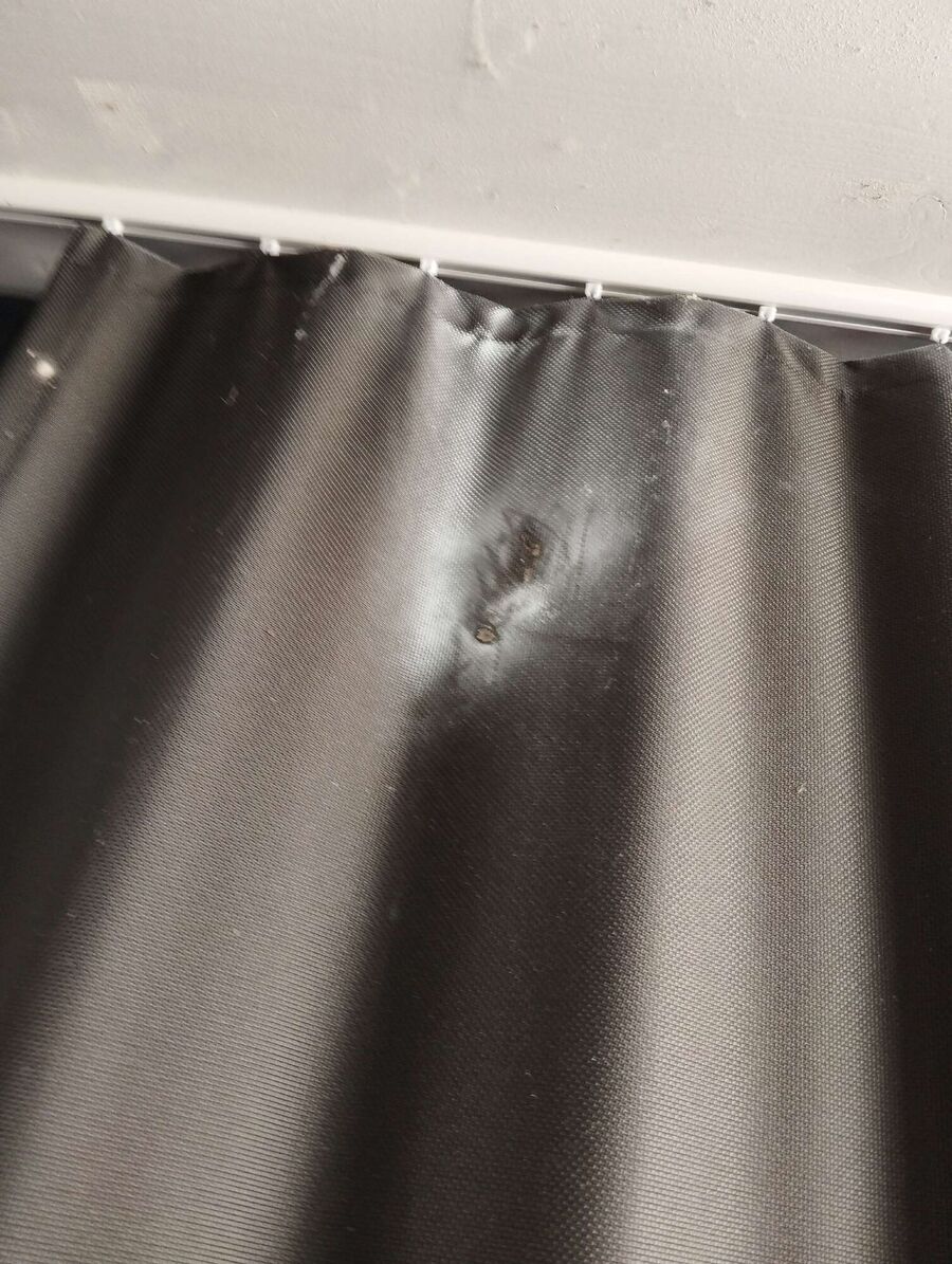 Bee nest at the house remove