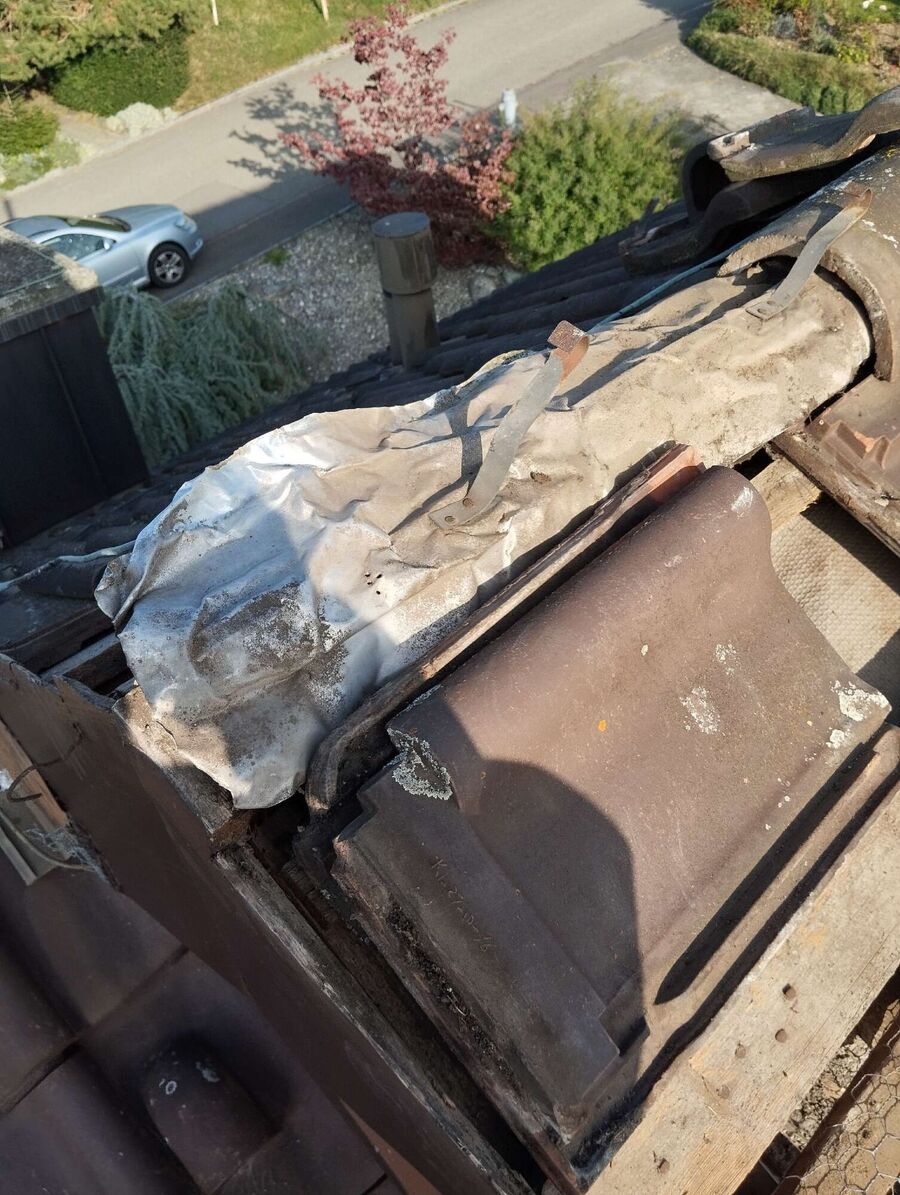 Bee nest at the house remove