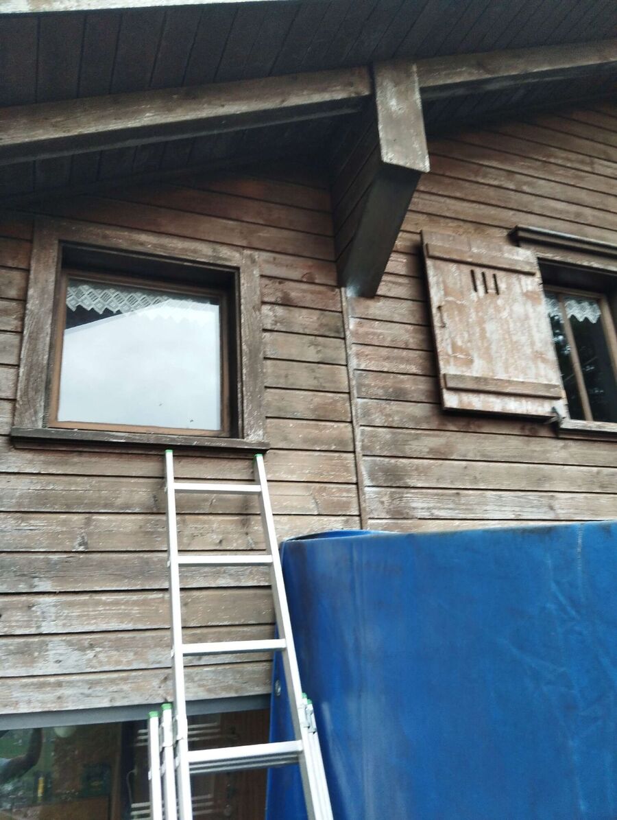 Relocate bees & remove bee nest