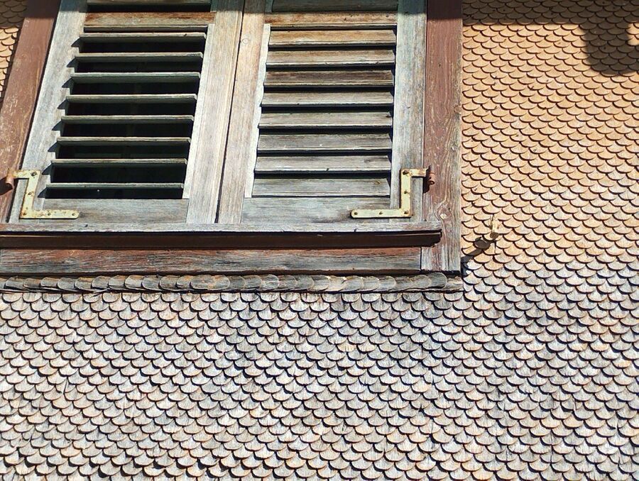 Bee nest at the house remove