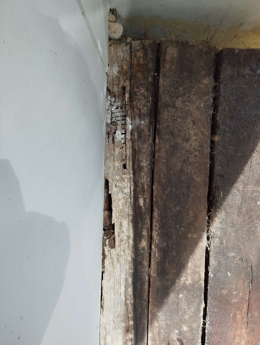 Bee nest at the house remove