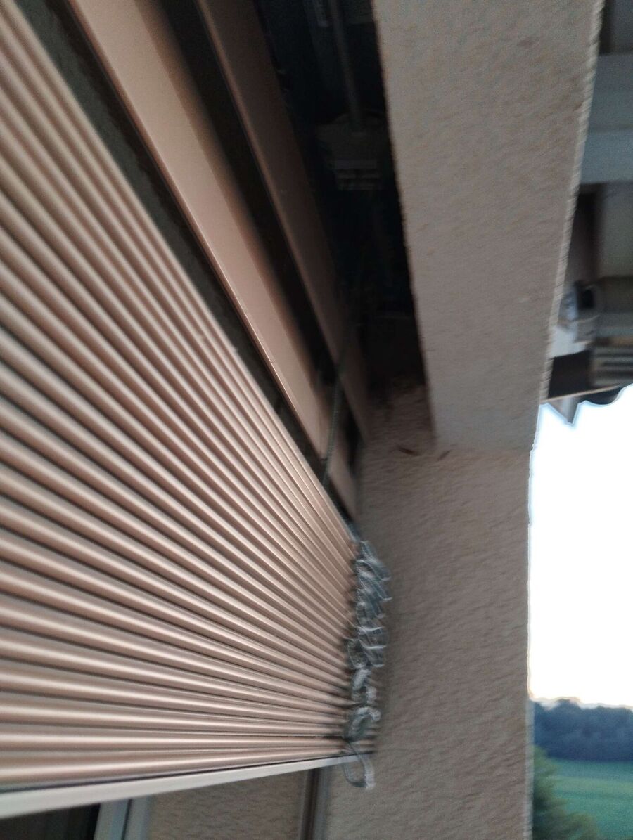 Bee nest at the house remove