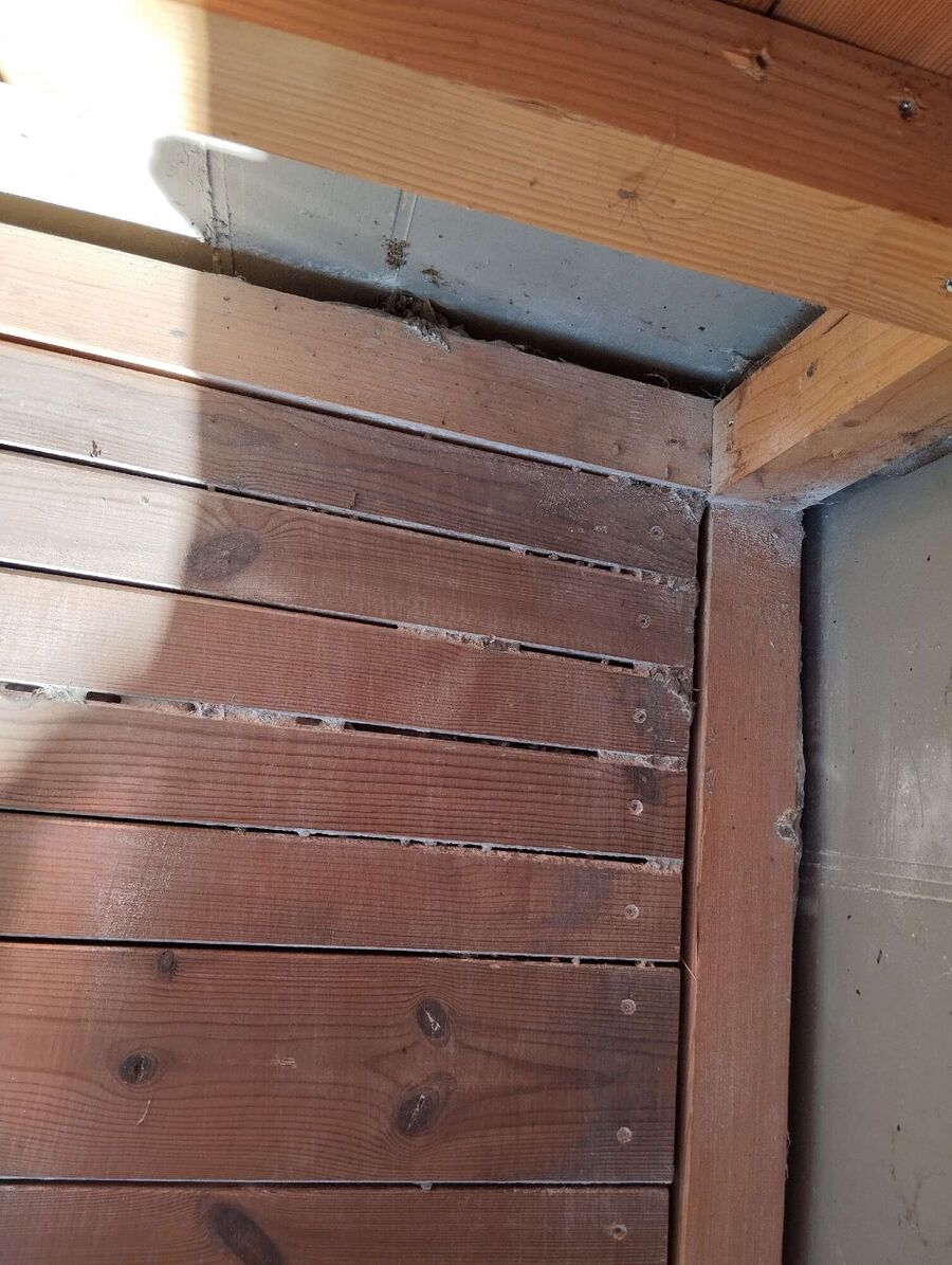 Bee nest at the house remove