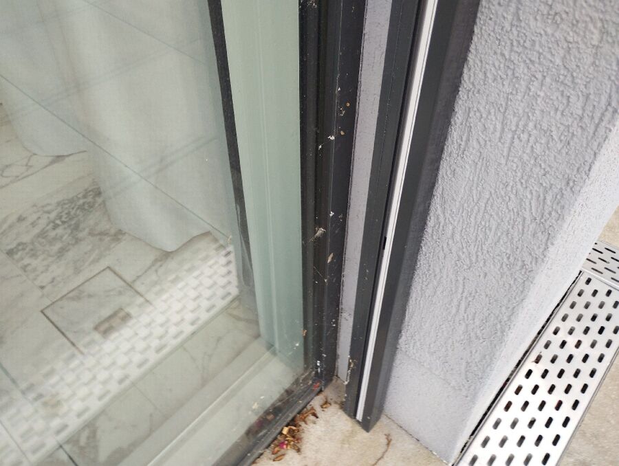 Relocate bees & remove bee nest