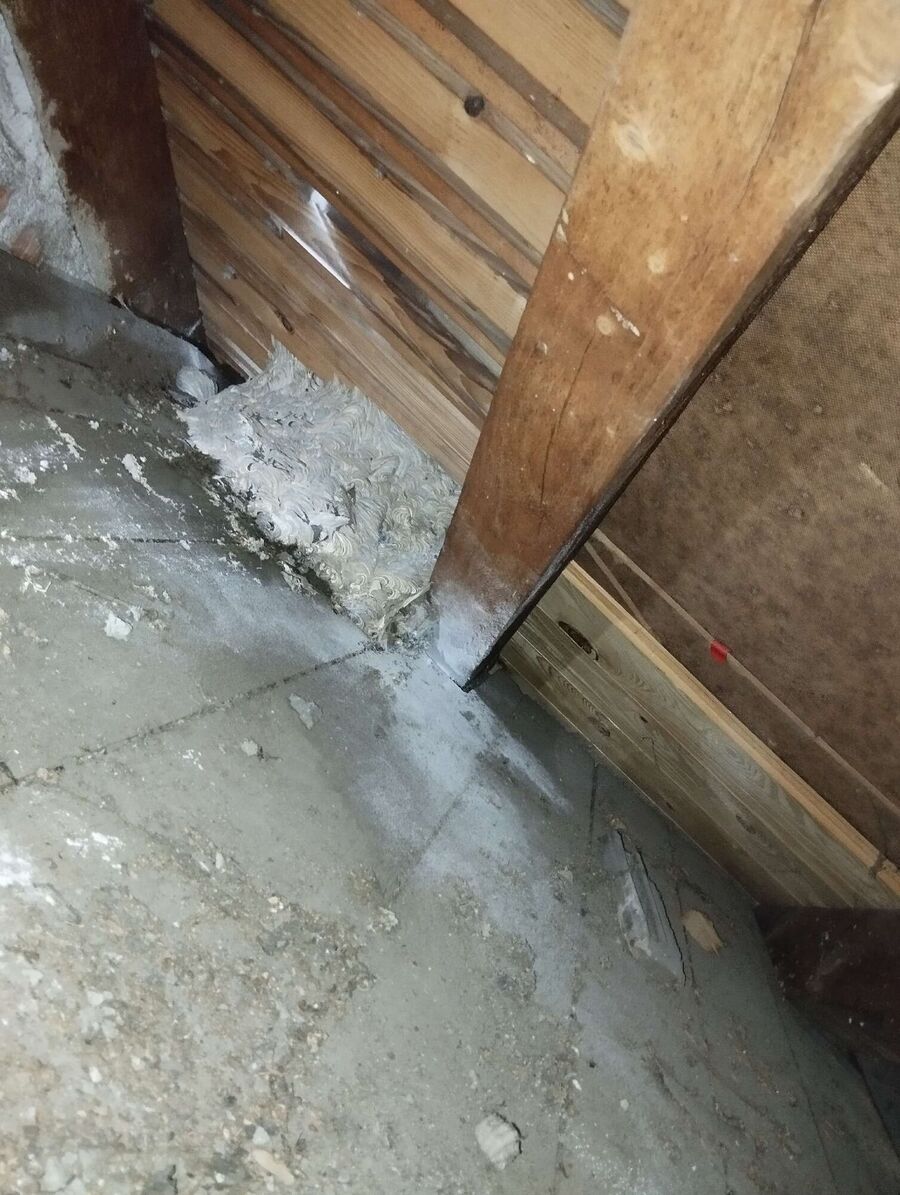 Bee nest at the house remove