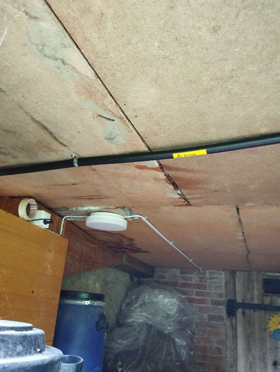 Bee nest at the house remove