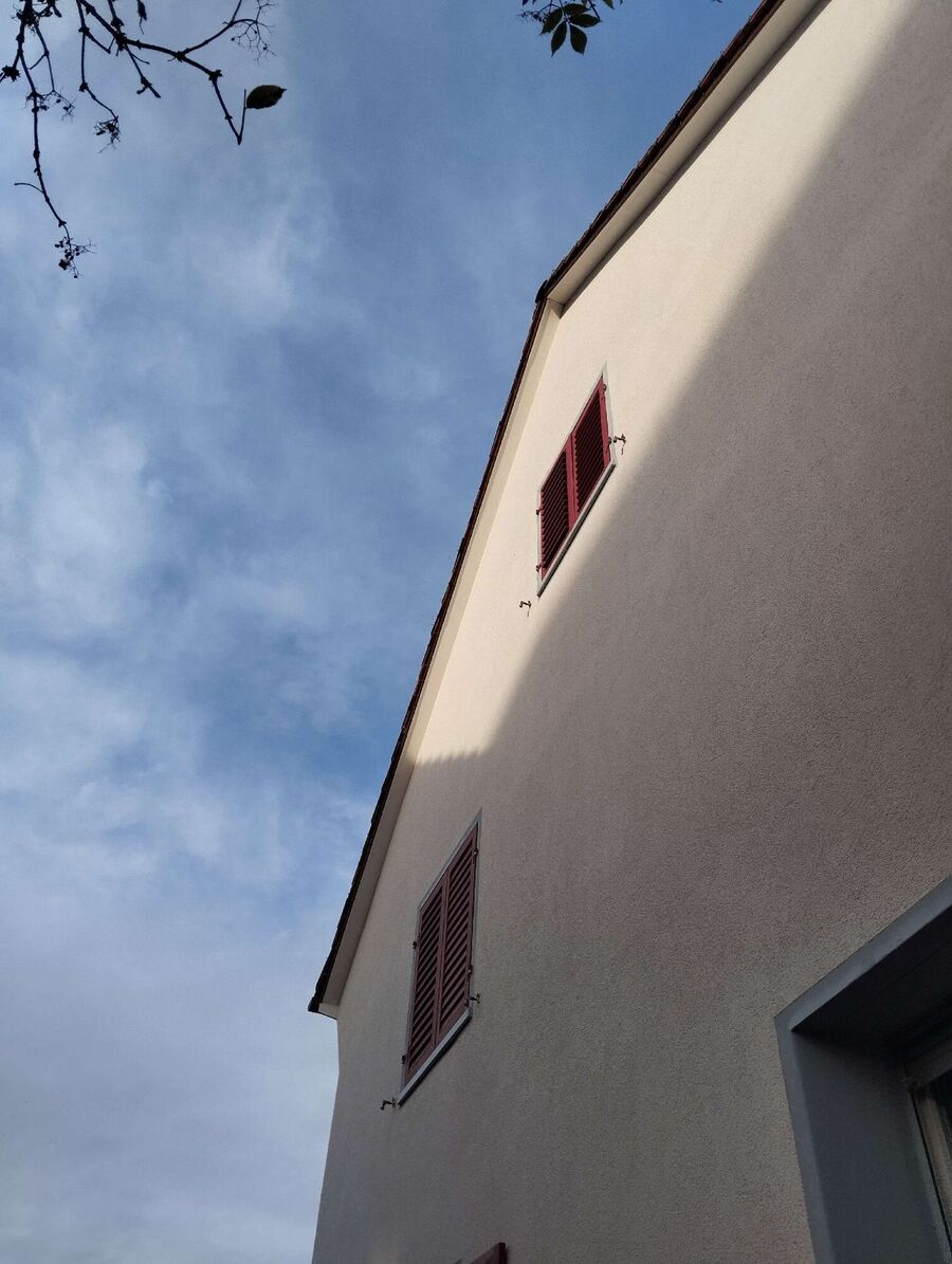 Relocate bees & remove bee nest