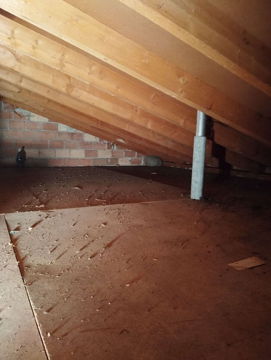 Bee nest at the house remove