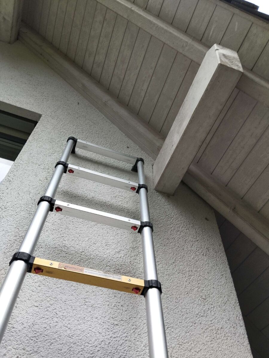 Bee nest at the house remove