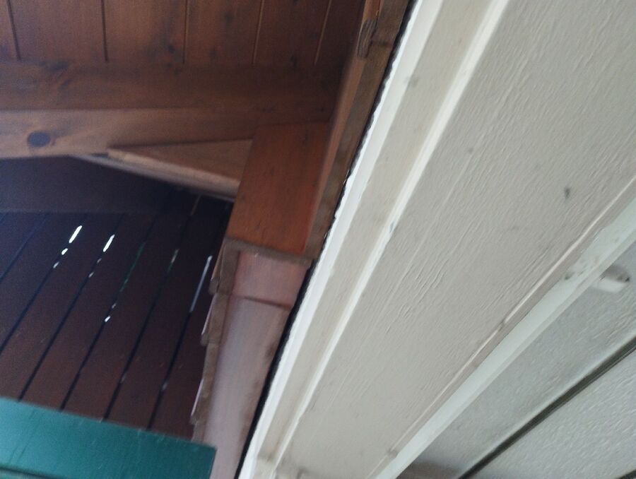 Bee nest at the house remove