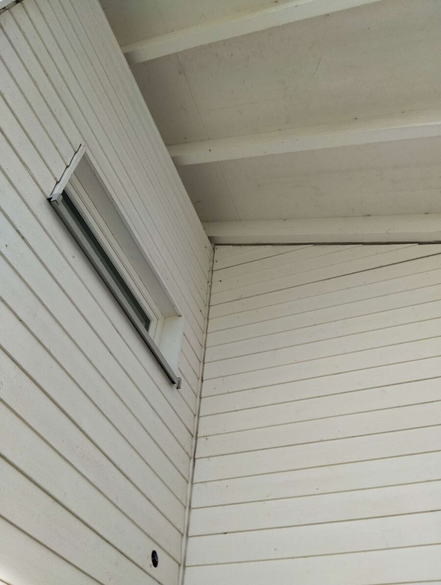 Relocate bees & remove bee nest