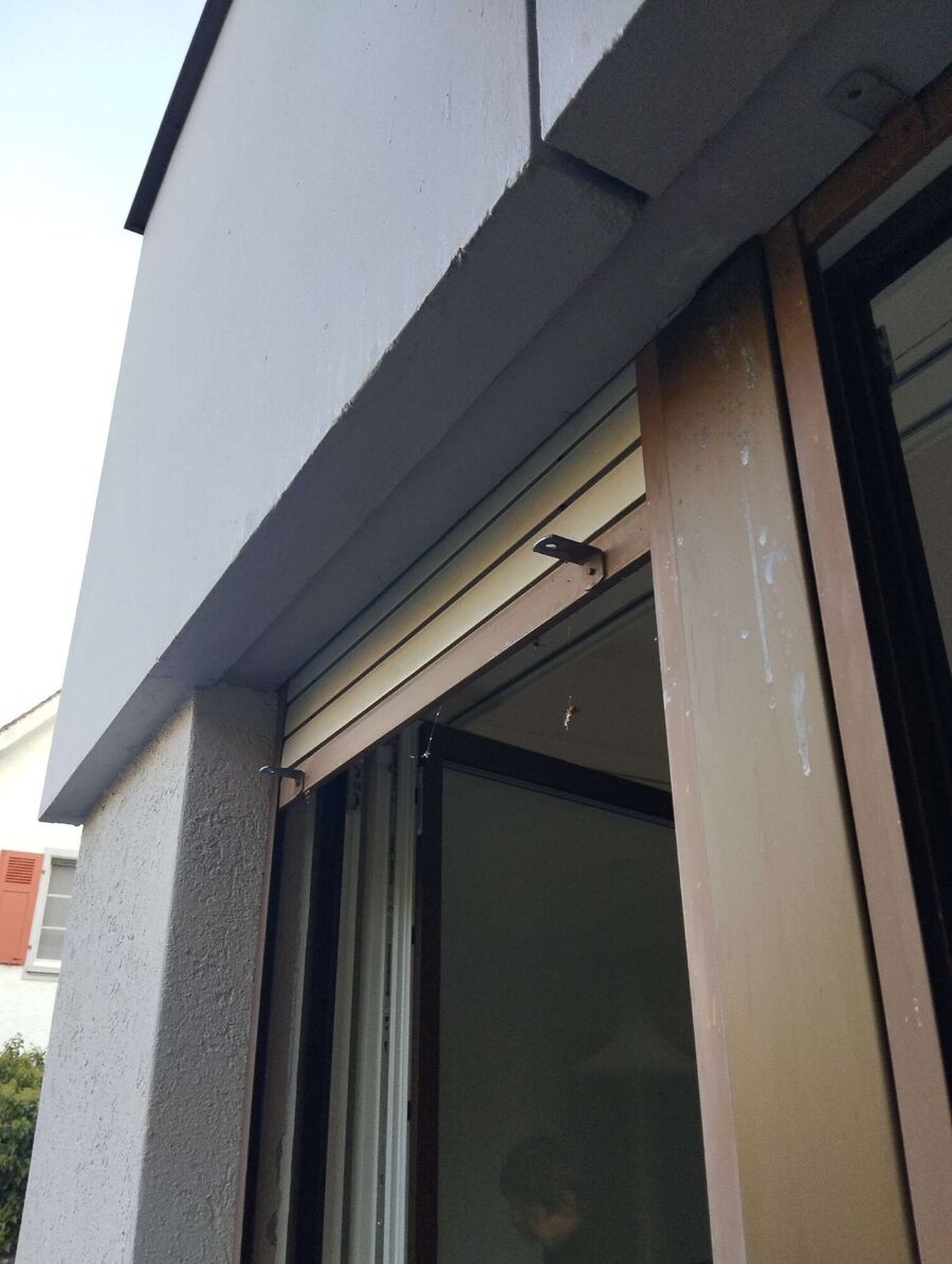 Relocate bees & remove bee nest