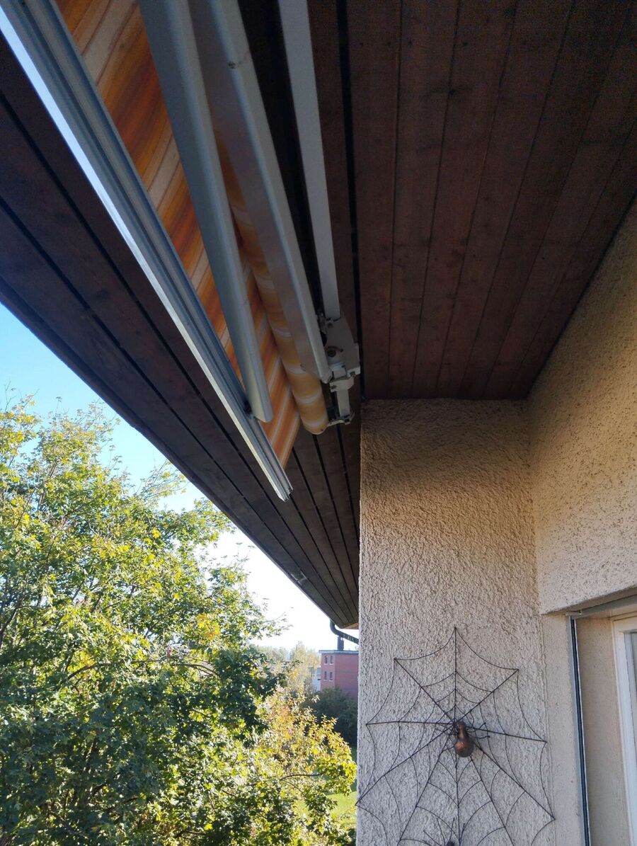 Bee nest at the house remove