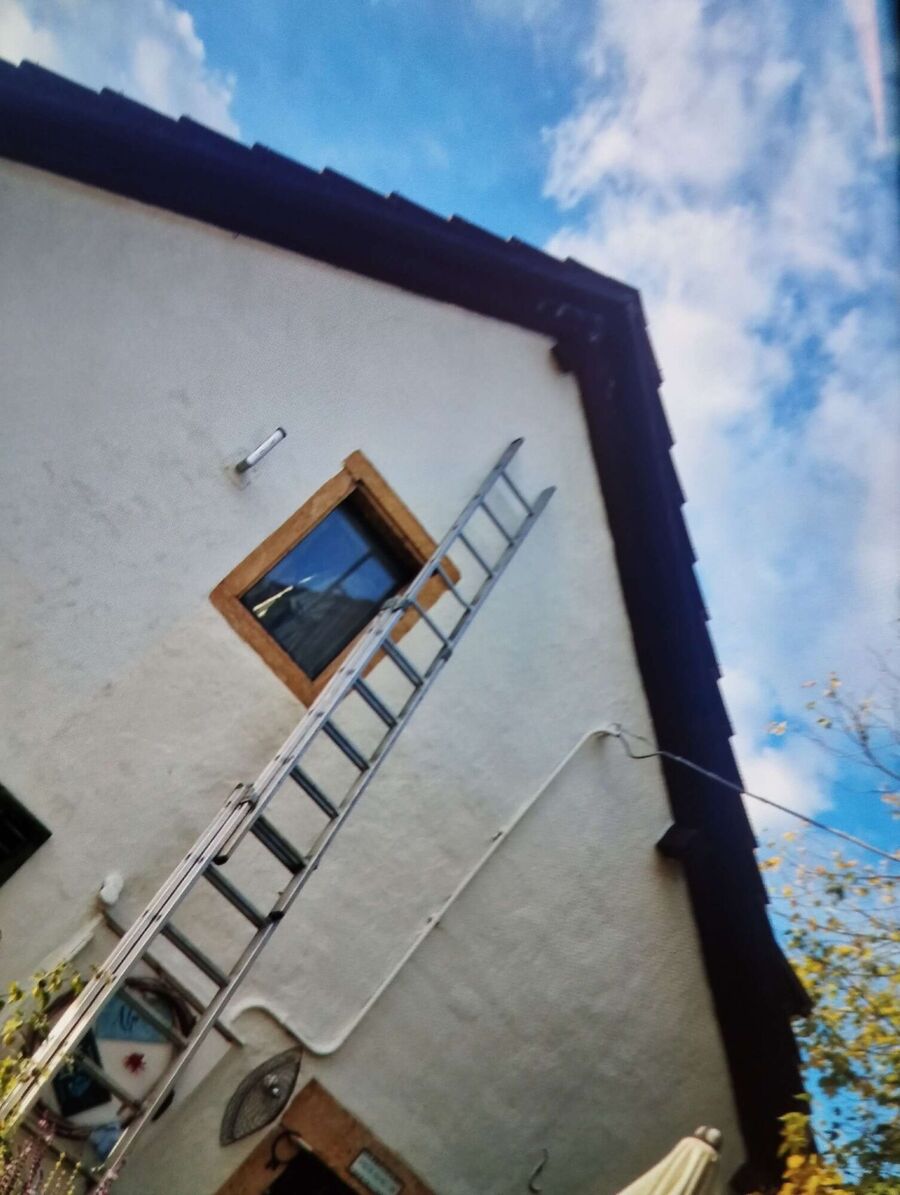 Bee nest at the house remove