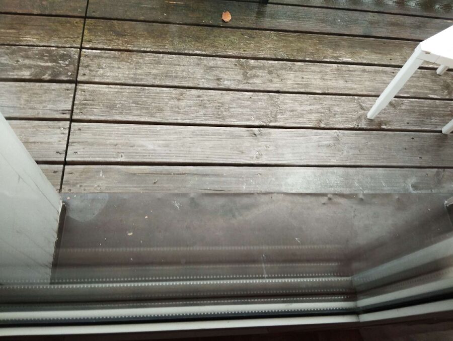 Bee nest at the house remove