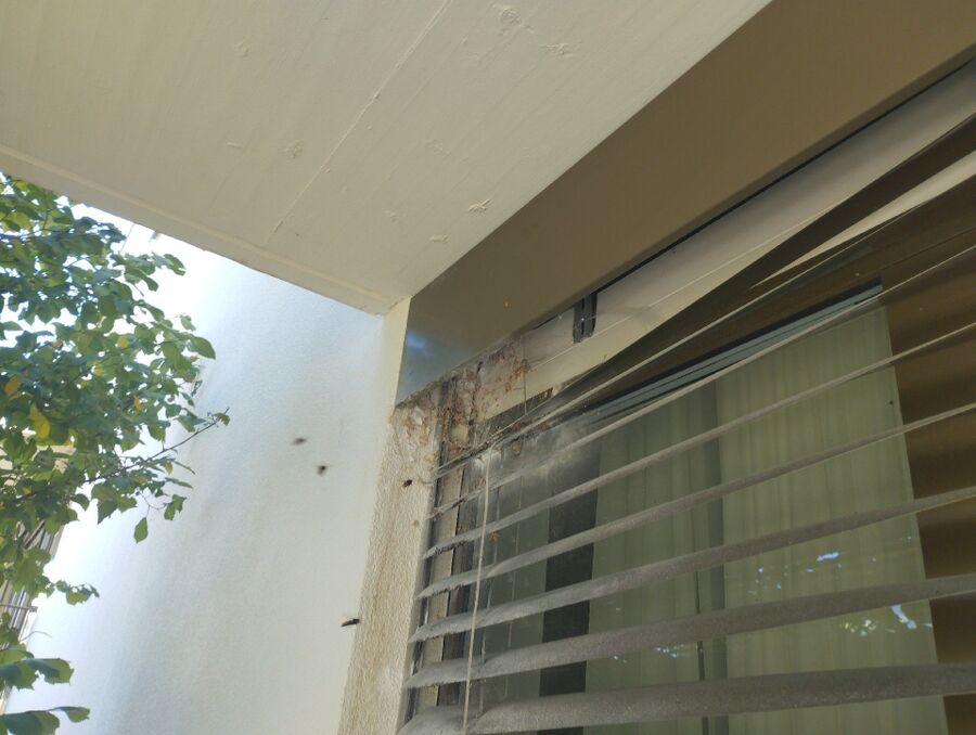 Bee nest at the house remove