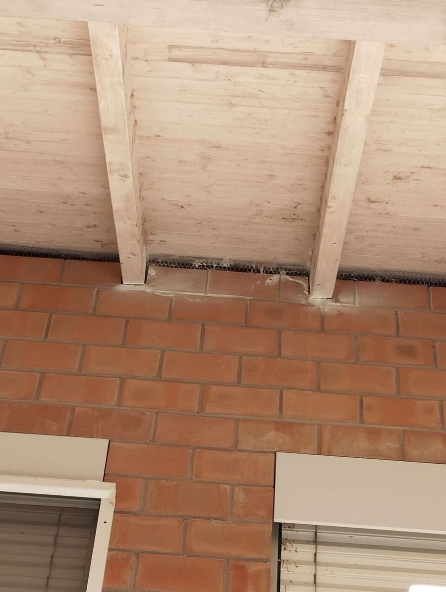 Relocate bees & remove bee nest