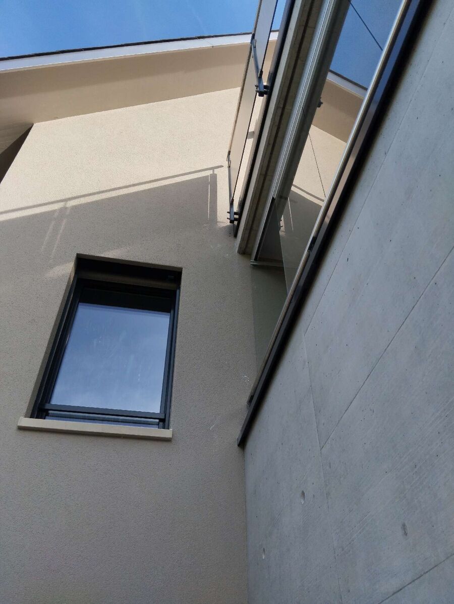 Bee nest at the house remove