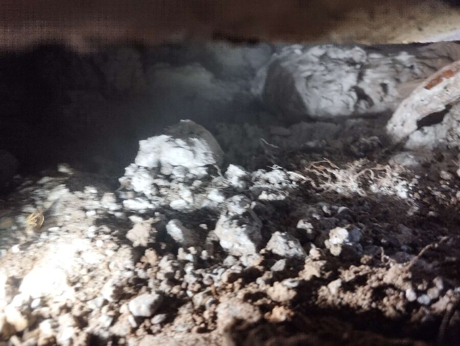 Bee nest at the house remove