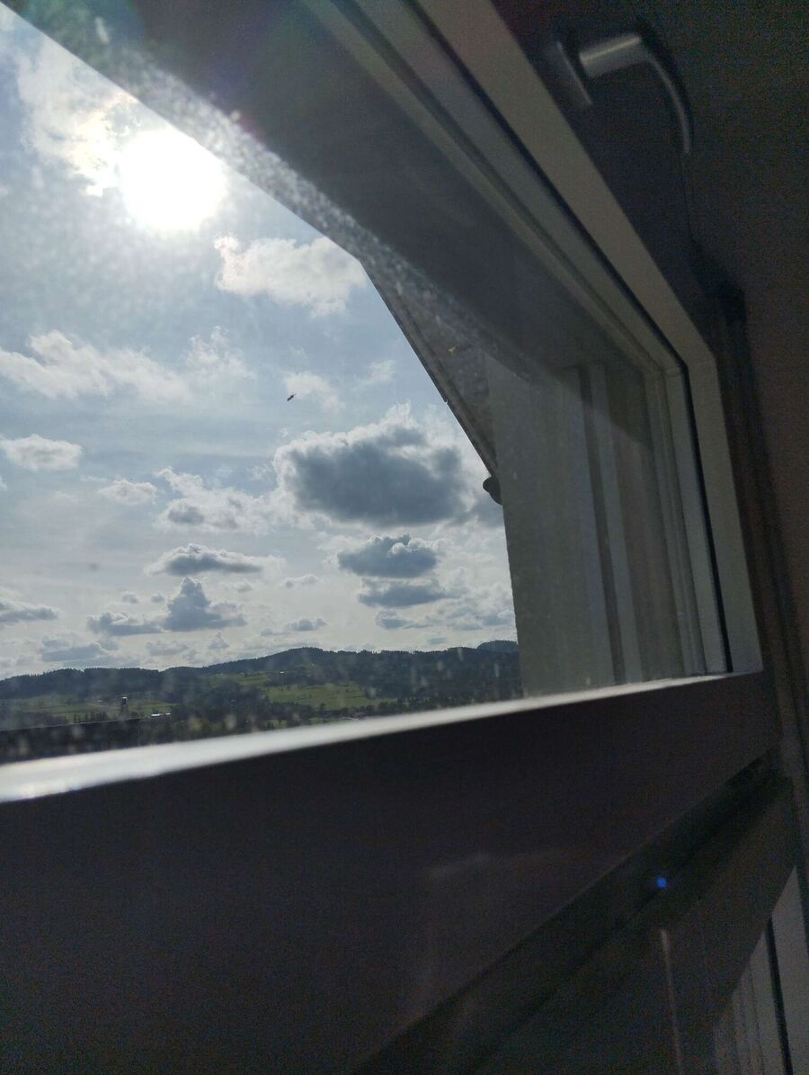 Bee nest at the house remove