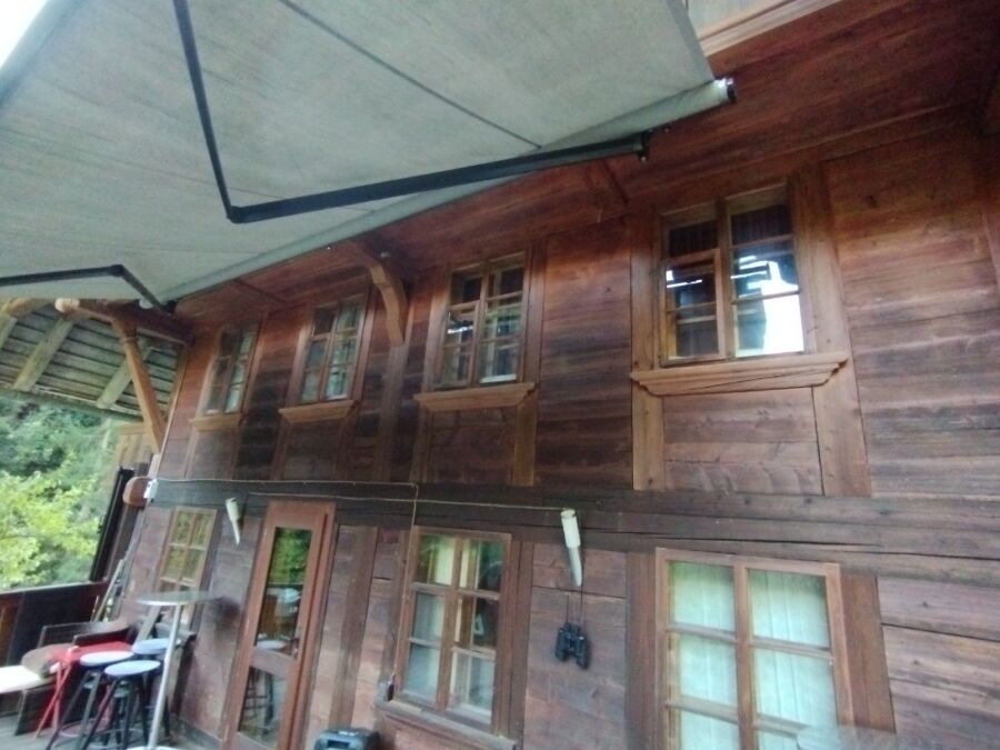 Bee nest at the house remove