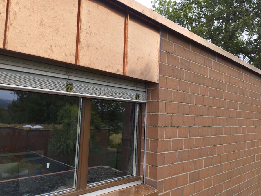 Bee nest at the house remove