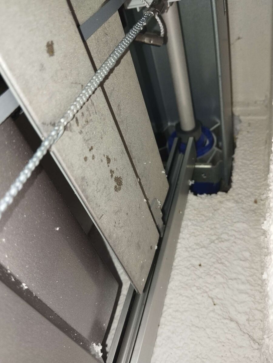 Bee nest at the house remove