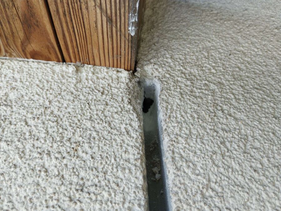 Bee nest at the house remove