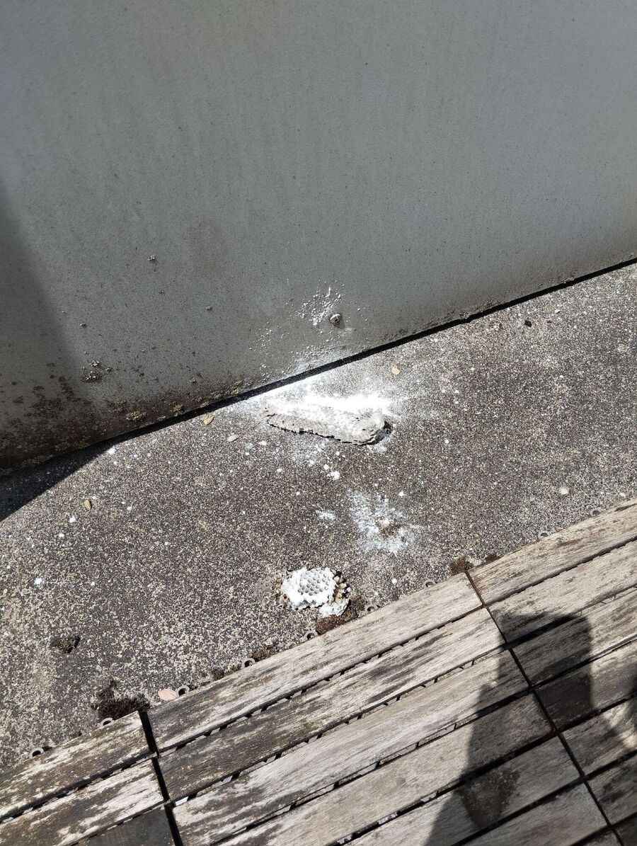 Bee nest at the house remove