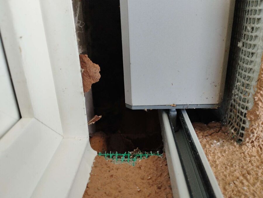 Relocate bees & remove bee nest