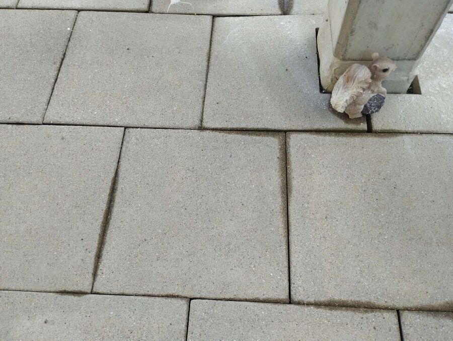 Bee nest at the house remove