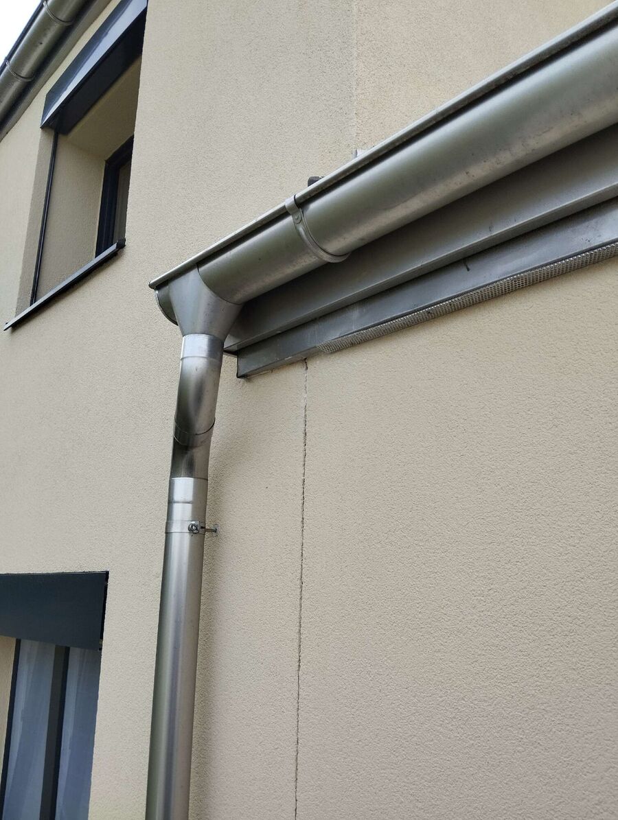 Relocate bees & remove bee nest