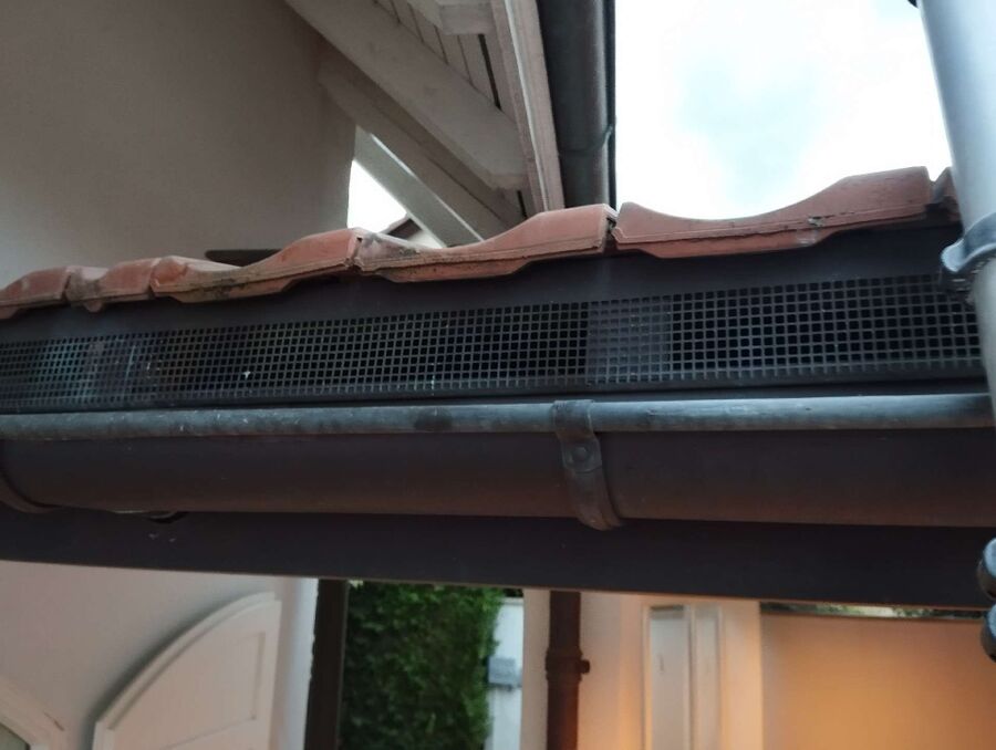 Bee nest at the house remove