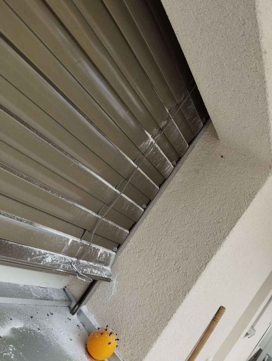 Bee nest at the house remove