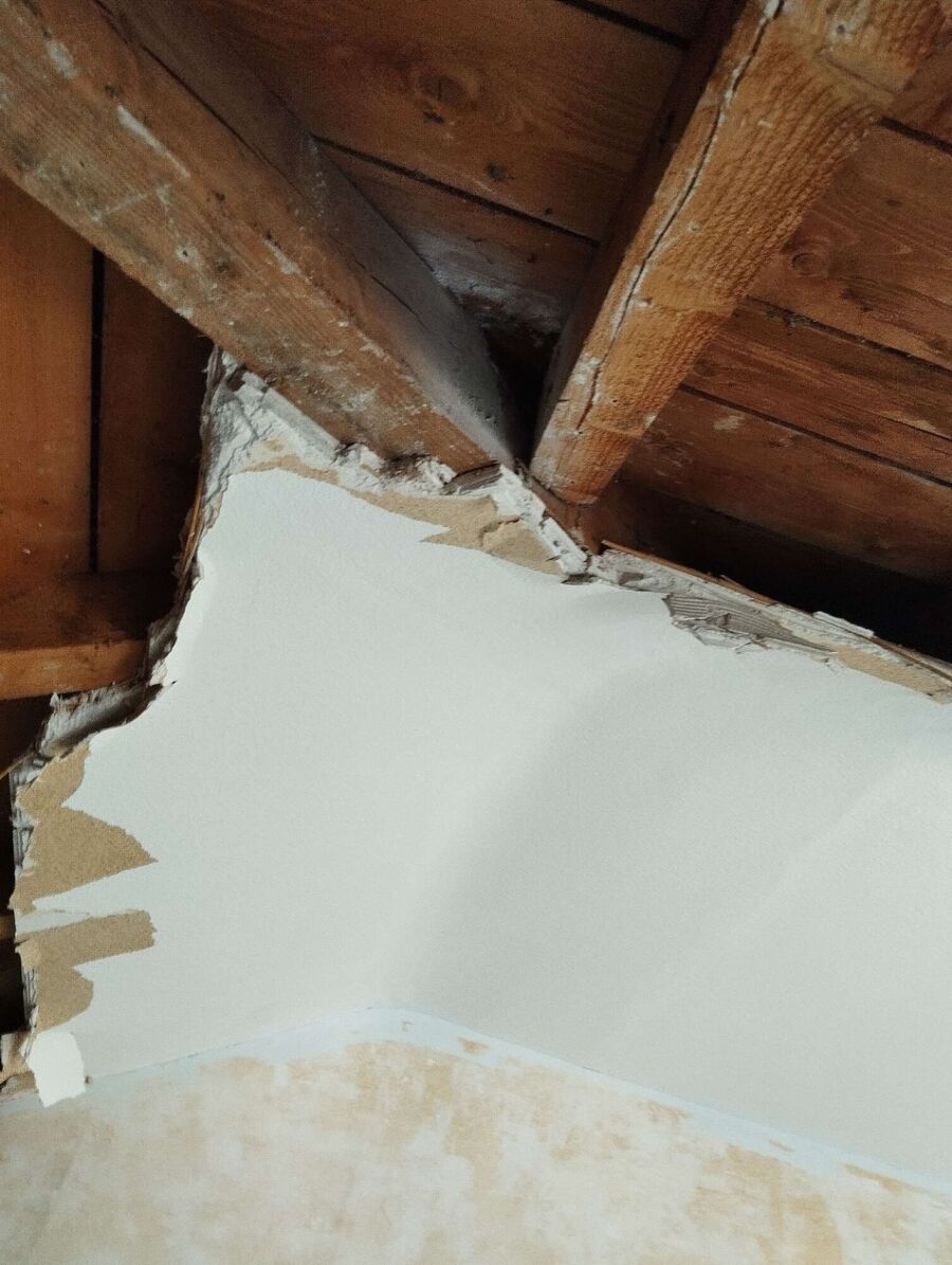 Bee nest at the house remove