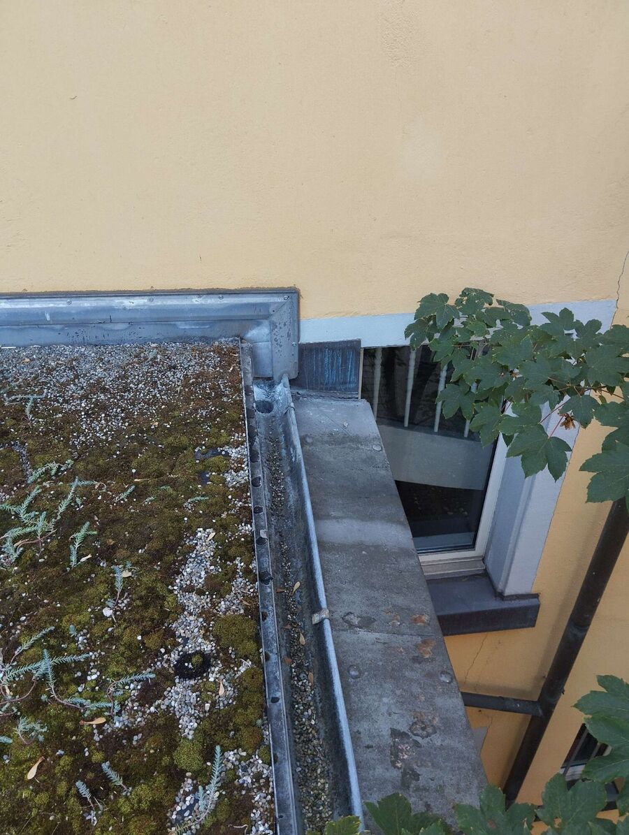 Bee nest at the house remove