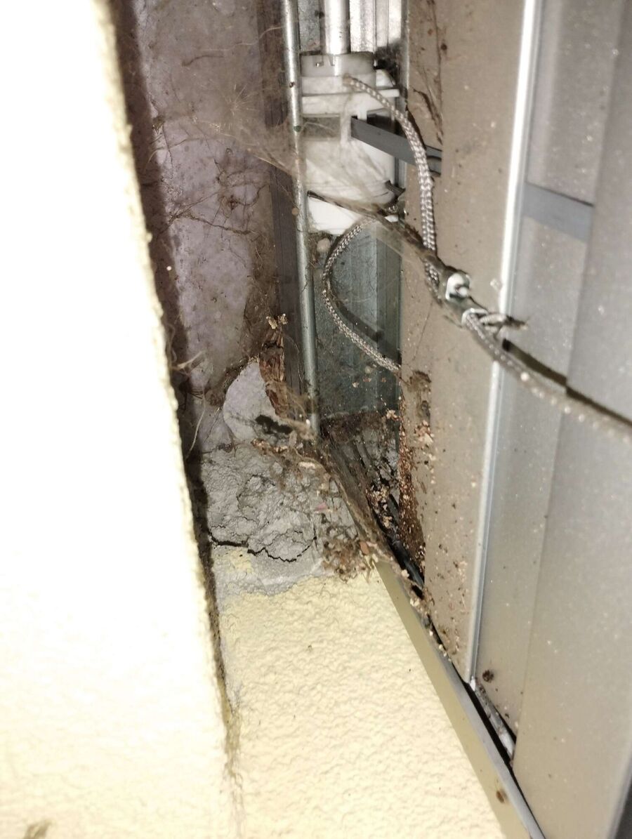 Bee nest at the house remove