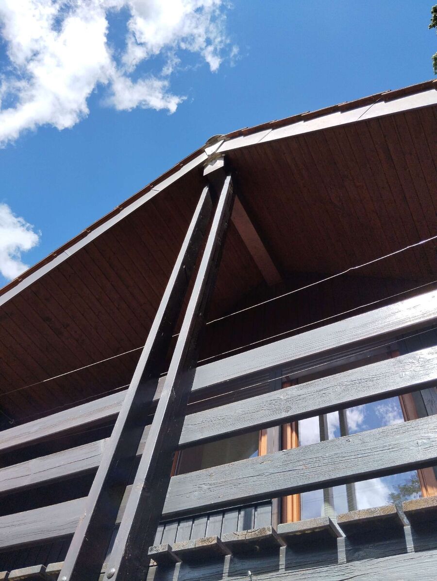 Bee nest at the house remove